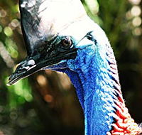 Alma Park Zoo - Palm Beach Accommodation
