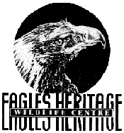 Eagles Heritage - Palm Beach Accommodation