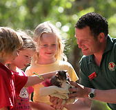 Cleland Wildlife Park - Palm Beach Accommodation