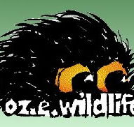 OZe Wildlife - Palm Beach Accommodation