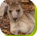 Calmsley Hill City Farm - Palm Beach Accommodation