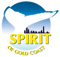 Spirit of Gold Coast Whale Watching - Palm Beach Accommodation