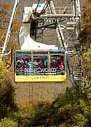 Scenic World Blue Mountains - Palm Beach Accommodation 1