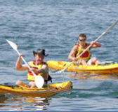 Manly Kayaks - Palm Beach Accommodation
