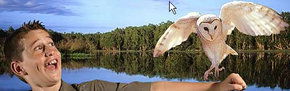 Territory Wildlife Park - Palm Beach Accommodation 2