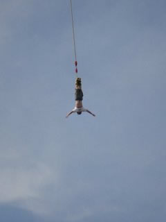 Tower Bungy Jump - Palm Beach Accommodation 2