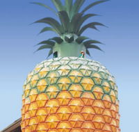 The Big Pineapple - Palm Beach Accommodation