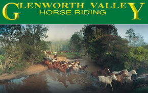 Peats Ridge NSW Palm Beach Accommodation
