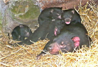 Palm Beach Accommodation