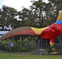 Gumbuya Park - Palm Beach Accommodation