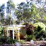 Koala Conservation Centre - Palm Beach Accommodation 1