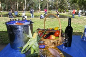 Buxton Trout And Salmon Farm - Palm Beach Accommodation 2