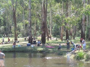 Buxton Trout And Salmon Farm - Palm Beach Accommodation 3