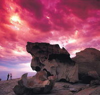 Kangaroo Island Adventure Tour 2 day/1 night - Palm Beach Accommodation