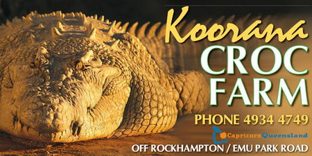 Koorana Saltwater Crocodile Farm - Palm Beach Accommodation 0