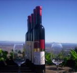 Mount Tamborine Winery  Homestead - Palm Beach Accommodation