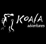 Koala Adventures - Palm Beach Accommodation
