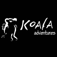 Koala Adventures - Palm Beach Accommodation 0