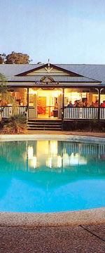 Koala Adventures - Palm Beach Accommodation 2