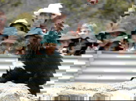  Palm Beach Accommodation