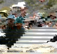 Tasmania Zoo - Palm Beach Accommodation