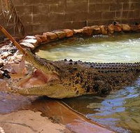 Wyndham Zoological Gardens and Crocodile Park - Palm Beach Accommodation