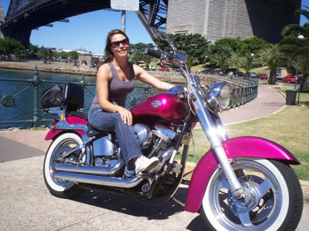 A Wild Ride - Palm Beach Accommodation 2