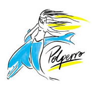 Polperro Dolphin Swims - Palm Beach Accommodation