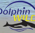 Dolphin Wild - Palm Beach Accommodation