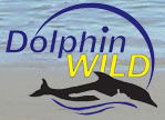 Dolphin Wild - Palm Beach Accommodation 0