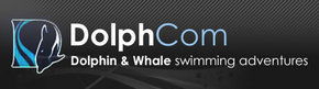  Palm Beach Accommodation