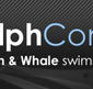 Dolphcom - Dolphin  Whale Swimming Adventures - Palm Beach Accommodation