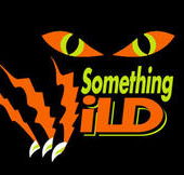 Something Wild - Palm Beach Accommodation