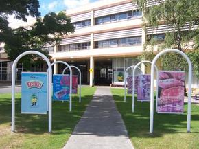 Cadbury Chocolate Factory Tour - Palm Beach Accommodation 2