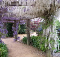 Abingdon Miniature Village - Palm Beach Accommodation
