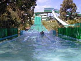 Kalamunda Wet 'n' Wild - Palm Beach Accommodation 1