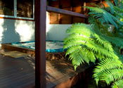 Hidden Valley Eco Spa Lodges & Day Spas - Palm Beach Accommodation 1