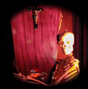 Frightnight Comedy Theatre Restaurant - Palm Beach Accommodation 3