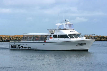 Mills Charters Fishing And Whale Watch Cruises - Palm Beach Accommodation 1