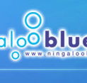 Ningaloo Blue Dive - Palm Beach Accommodation