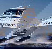 Sunshine Coast Fishing Charters - Palm Beach Accommodation