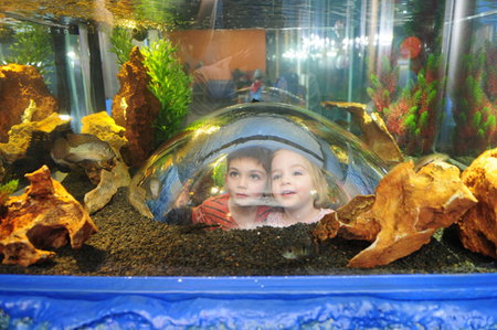 Scitech - Palm Beach Accommodation 3