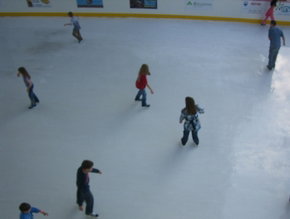 Liverpool Catholic Club Rink - Palm Beach Accommodation 3