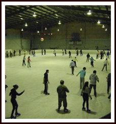 Bendigo Ice Stadium - Palm Beach Accommodation 1