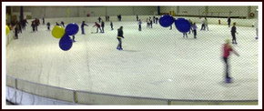 Bendigo Ice Stadium - Palm Beach Accommodation 2
