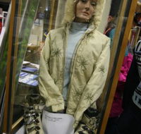 Alpine Museum - Palm Beach Accommodation