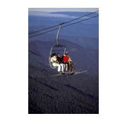 Scenic Chairlift Ride - Palm Beach Accommodation
