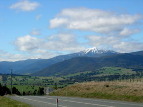 Buller View Wines - Palm Beach Accommodation 2