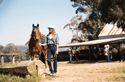 Watsons Trail Rides - Palm Beach Accommodation