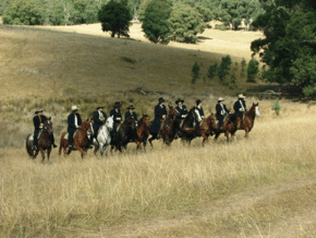 McCormacks Mountain Valley Trail Rides - Palm Beach Accommodation